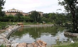 靜之湖溫泉度假村 靜之湖溫泉度假村