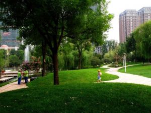 杉木林生態家園 杉木林生態家園