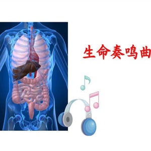 生命奏鳴曲 生命奏鳴曲