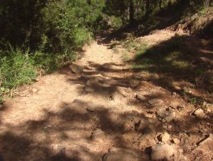 黃力水井村 黃力水井村