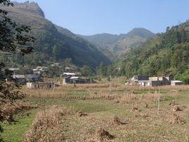 欄壩坎自然村 欄壩坎自然村