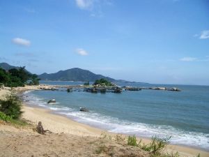 惠東港口海龜自然保護區 惠東港口海龜自然保護區