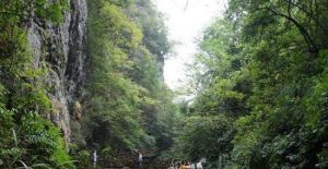 株洲酒埠江仙人橋旅遊區 株洲酒埠江仙人橋旅遊區