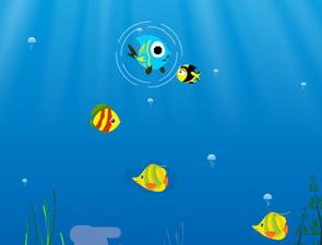 藍色魚的獵食之旅 藍色魚的獵食之旅