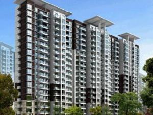 潯海諾德國際 潯海諾德國際