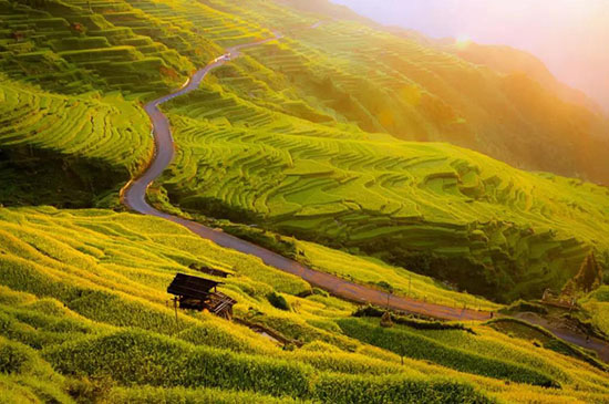 再過20天,貴州將美翻全世界!