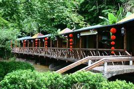 東肖森林公園 東肖森林公園