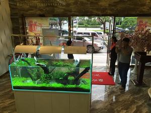 迪茨[浙江台州家居品牌]