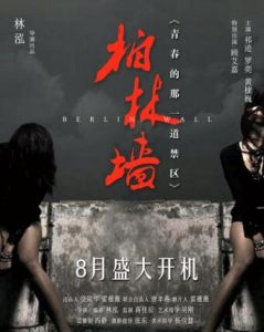 柏林圍牆[2016年林泓執導電影]