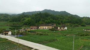 永定聚斯樓 永定聚斯樓