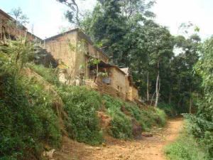 紅然下寨村 紅然下寨村