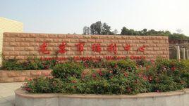 龍巖市福利中心 龍巖市福利中心