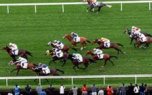 澳門賽馬會比賽照 