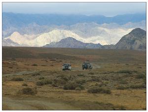 卡拉麥里野生動物保護區地處新疆維吾爾族自治區卡拉麥里山一帶，其範圍北起烏倫古河、南至卡拉麥里南緣，西至庫爾班通古特沙漠東緣。
