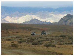 卡拉麥里野生動物保護區地處新疆維吾爾族自治區卡拉麥里山一帶，其範圍北起烏倫古河、南至卡拉麥里南緣，西至庫爾班通古特沙漠東緣。