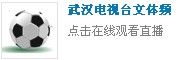 武漢電視台文體頻道 武漢電視台文體頻道