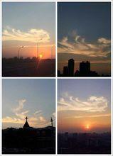 太火鳥[中國創新產品策源地]