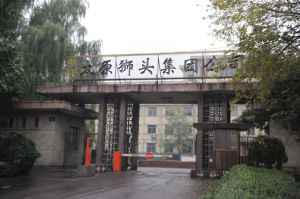 獅頭股份 獅頭股份