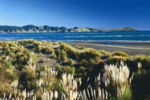 卡菲亞港 卡菲亞港