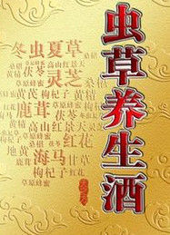 蟲草養生酒 蟲草養生酒