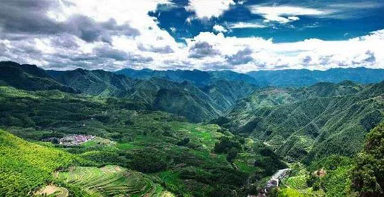 這個浙江偏僻的小縣城,一到夏天就美成仙兒,可惜知道的人太少了!