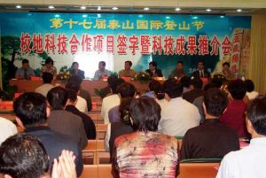 泰山國際登山節