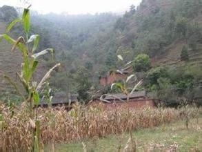 牛家坪子村 牛家坪子村