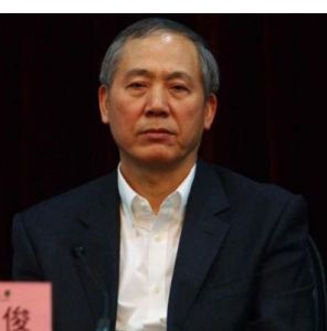 羅俊[中國科學院院士]