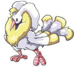 閃光波克爾 閃光波克爾