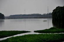 泌陽河泌陽縣城郊段