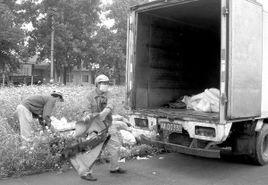 特種垃圾 特種垃圾