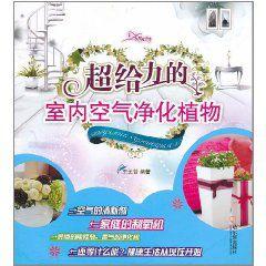超給力的室內空氣淨化植物 超給力的室內空氣淨化植物