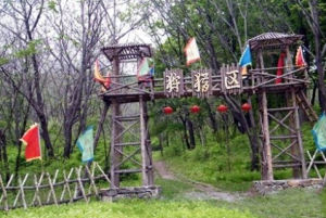 桃山狩獵場 桃山狩獵場