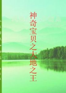 神奇寶貝之大地之王 神奇寶貝之大地之王