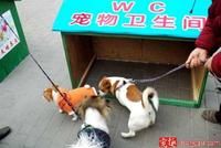 寵物公廁 寵物公廁