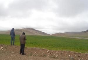 2016年7月古汝村耕地一角