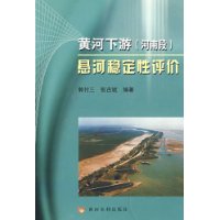 黃河下游懸河穩定性評價