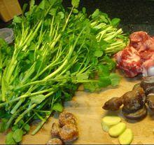 西洋菜煲陳腎湯