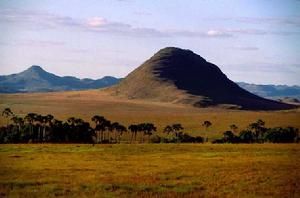 塞拉多保護區 塞拉多保護區