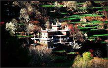 美人谷[福建省長泰縣地名]