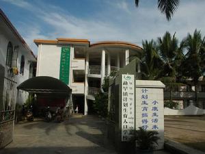 鎮計畫生育服務所