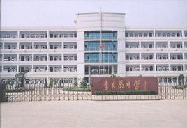 李關弟中學 李關弟中學