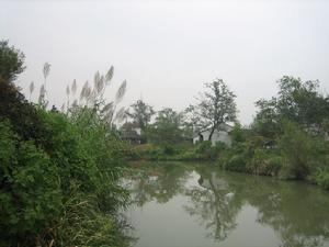 生態恢復 生態恢復