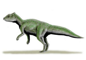 腫頭龍類 腫頭龍類