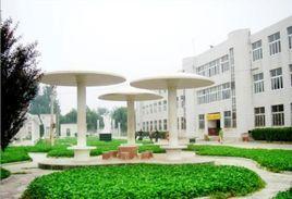 莘亭中學 莘亭中學