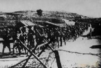 桂柳會戰資料圖片