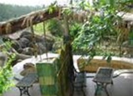 七仙嶺溫泉 七仙嶺溫泉