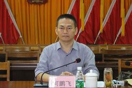 何鵬飛[瓊海市委常委]