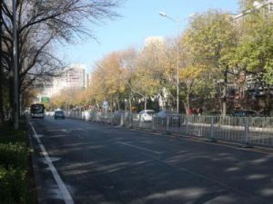 花園路街道 花園路街道