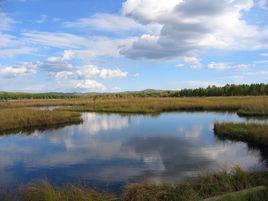 七星湖沙漠生態旅遊區